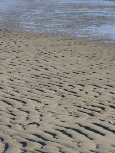 Looking into texture and form